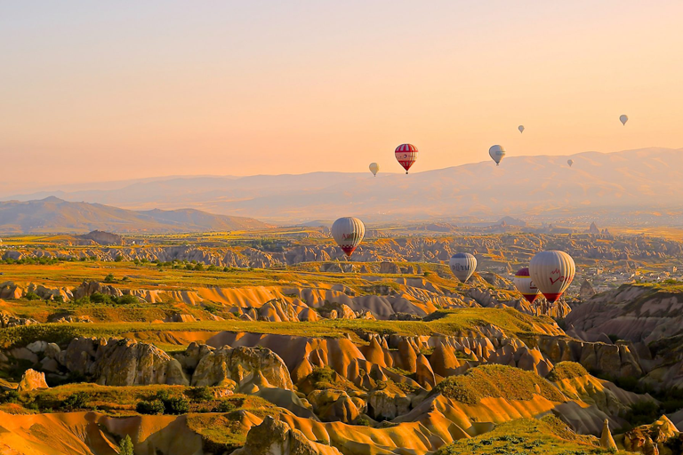 Hot air balloons over a landscape